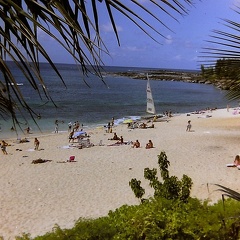 View-from-my-room-Hawaii.JPG