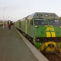 Indian-Pacific-Train