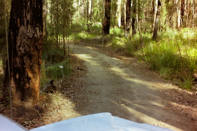 The-road-to-Northcliffe-WA.JPG